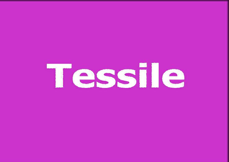 TESSILE
